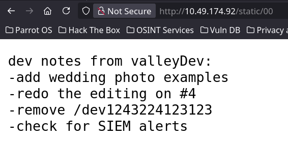 Public Valley developer notes exposing the hidden dev1243224123123 route
